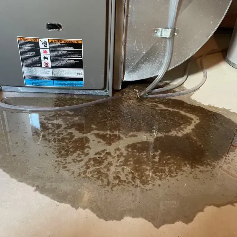 Appliance Leak Cleanup in Harwich, MA